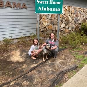 Meet your Posher, Dennis